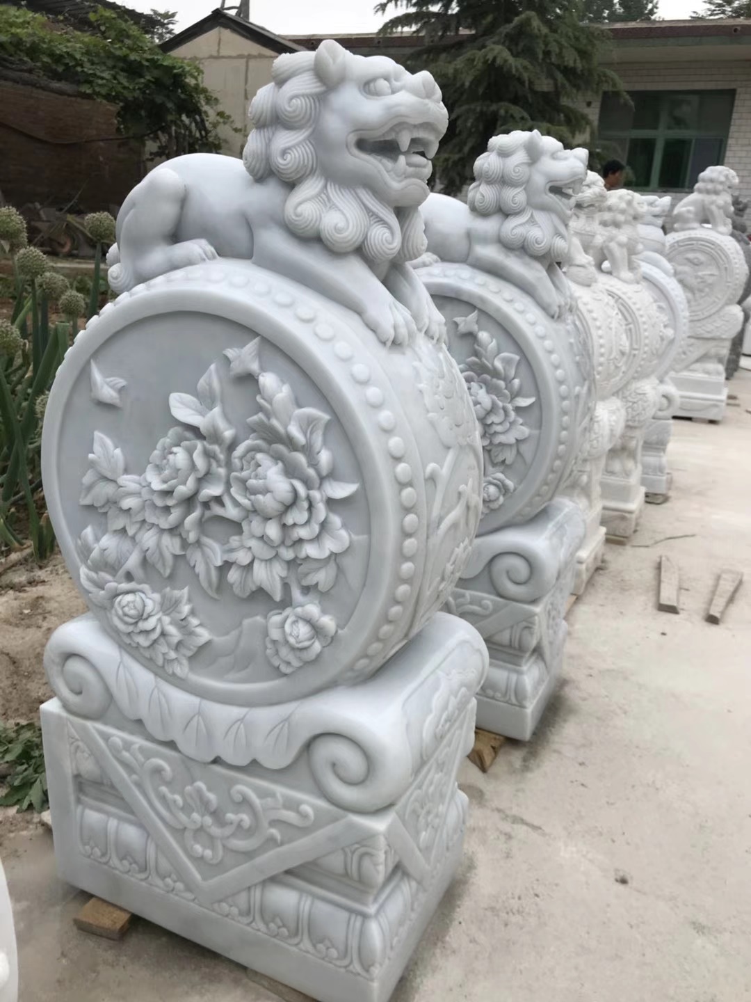 ���ҝh�����T��